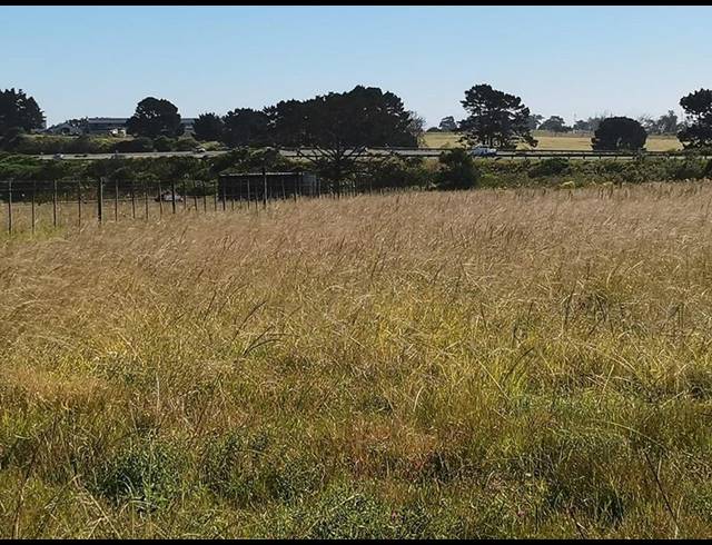 LAND FOR SALE IN GEORGE RURAL